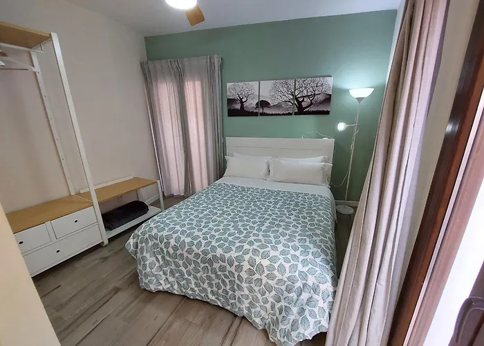 Toledoaloja - Estudio En