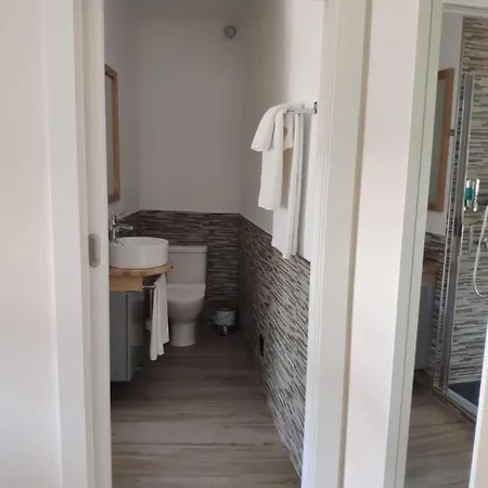 Toledoaloja - Estudio En