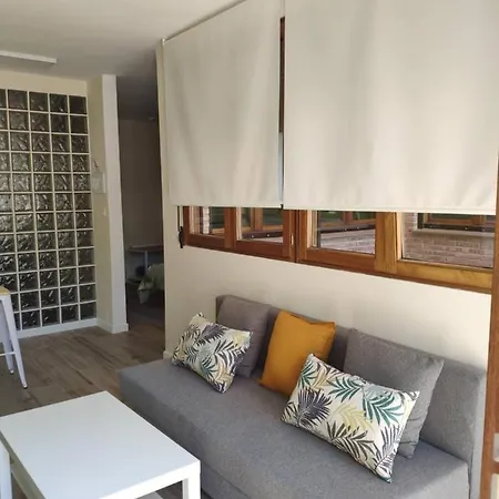 Toledoaloja - Estudio En Apartment