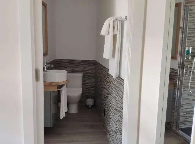 Toledoaloja - Estudio En